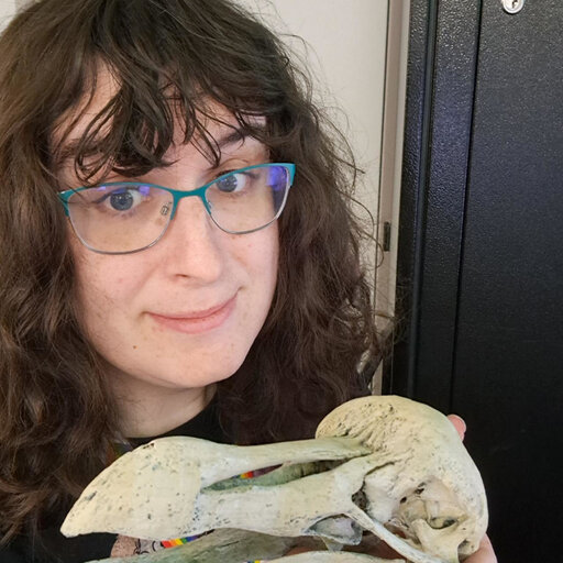 profile picture not found